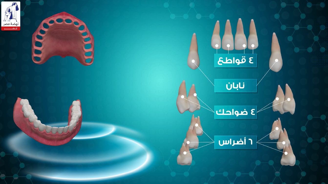 Digital Learning